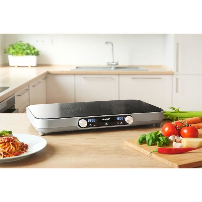Plaque de cuisson cuisinière à inarouge simple plaque inarouge fournisseur OEM/ODM Mif-103 - Chine Cuisinière à inarouge et plaque inarouge prix