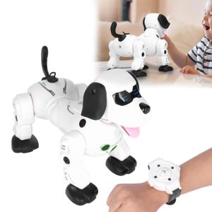 ROBOT - ANIMAL ANIMÉ Qqmora Chien Robot Montre sans fil 2.4G, télécomma