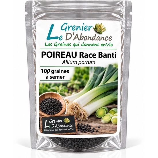 100 Graines Chou Cabus De Brunswick - Brassica Oleracea Légume Ancien