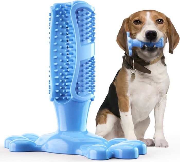 Meilleurs prix pour Brosse à dents pour chien en caoutchouc naturel jouet à mâcher pour le nettoyage des dents les soins dentaires le dressage des c