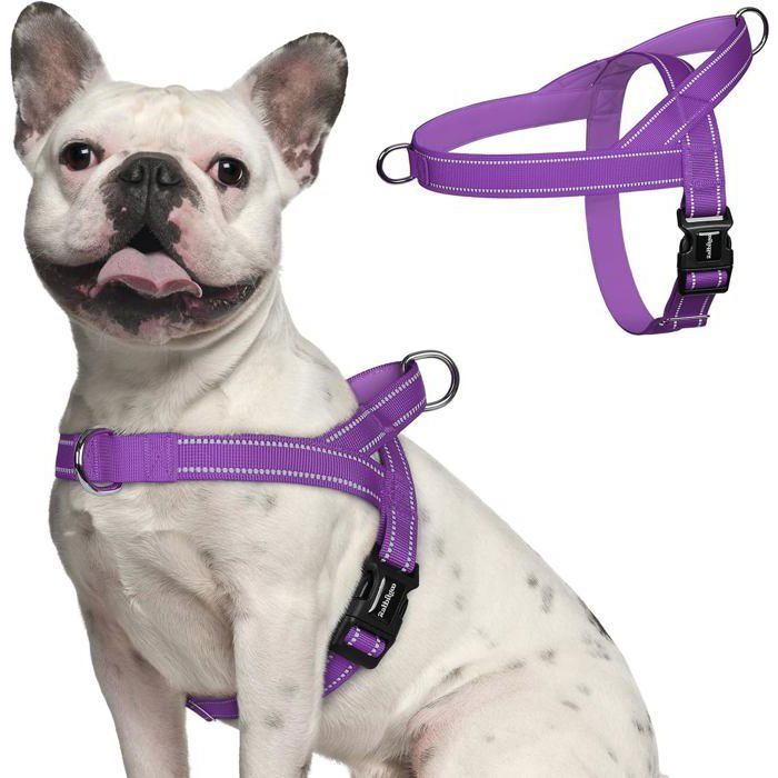 Comparer les prix de rabbitgoo Harnais Chien Anti Traction Arnet pour Chien Facile à Mettre Harnais Réfléchissant Réglable avec Attache Devant M Violet