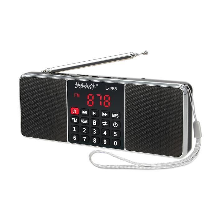 Noir L-288 - Récepteur de radio FM numérique portable 6W, son de basse,  balayage automatique, avec lecteur de - Cdiscount TV Son Photo