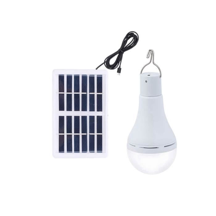Ampoule LED solaire étanche avec et minuteur Luminaire d