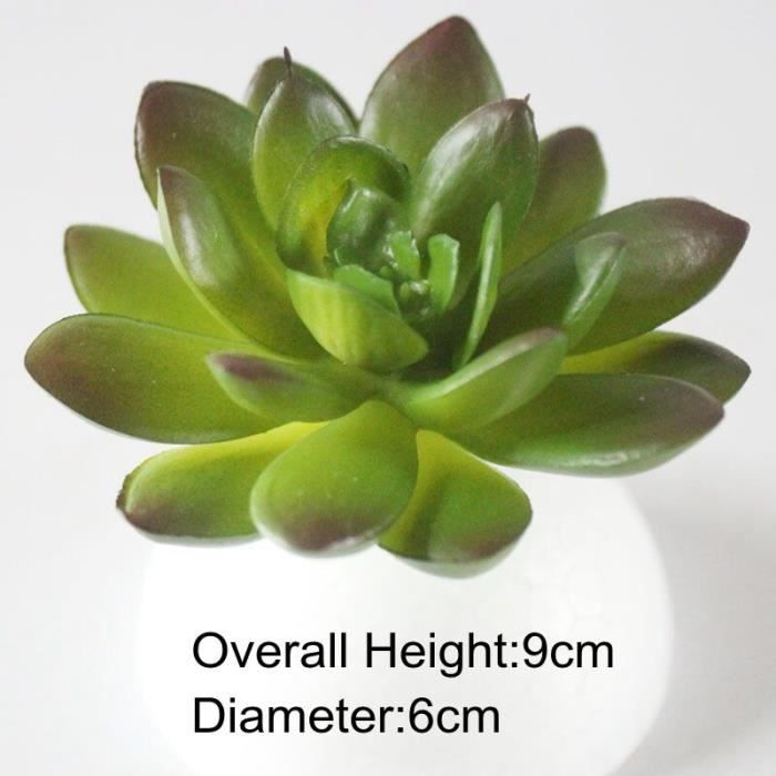 Kalolary Lot de 16 plantes succulentes artificielles - Mini potted Kalolary Lot de 16 plantes succulentes artificielles - Mini potted