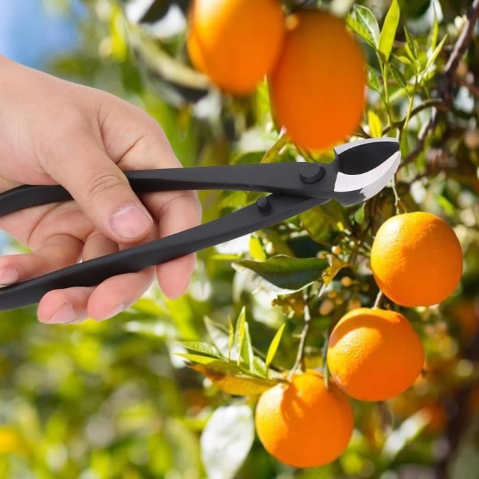 4 Outils De Modelage à Billes Acier Inoxydable - Double Face, 8 Tailles, Pour Pâte à Sucre, Pâte Polymère