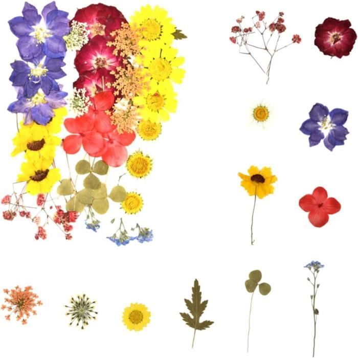 Fleurs D'aubépine Séchées - Pour Artisanat, Savon, Bougie, Infusion, Teinture Ou Tisane