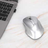 Souris silencieuse sans fil, récepteur USB de conception ergonomique de souris d'ordinateur sans fil 2.4G
