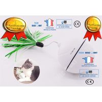 TD® boule chat jouet balle automatique plastique lumiere led exercice jeu intuitif animaux de compagnie chien domestique intéractif