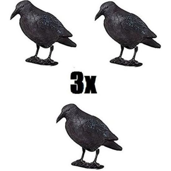813693_6