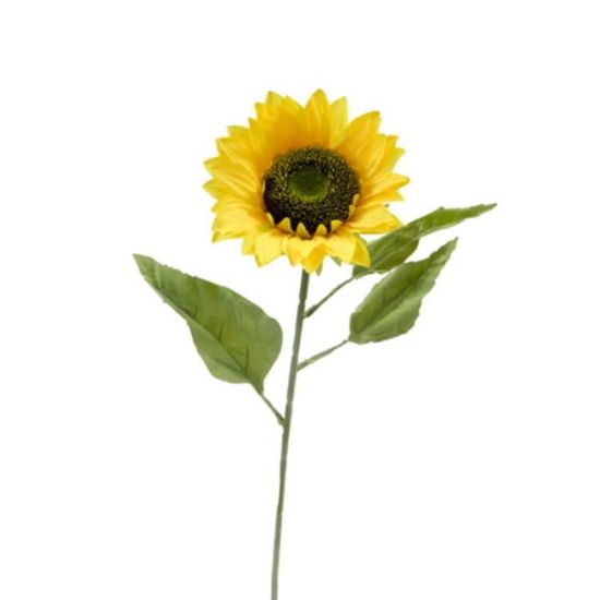 2 écrous Hexagonaux M10 X 1,25 Filetage Gauche - Acier Inoxydable - Pour Applications Spécifiques