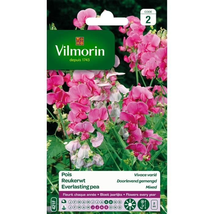 VILMORIN Pois vivace varié