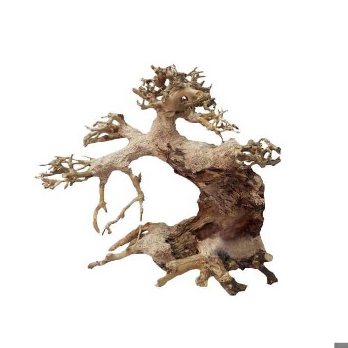 Meilleurs prix pour Décoration pour aquarium Aquavie Bonsaï Nature XS