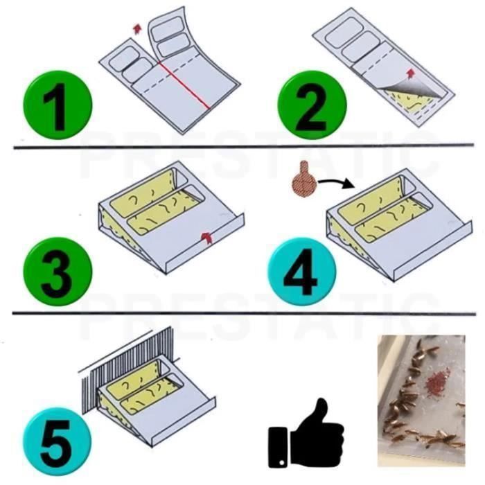 10 Pièges à Cafards Extra Puissants - Colle Ultra Adhésive Longue Durée - Sans Odeur Et Écologique - Pour Maison Et Entreprise