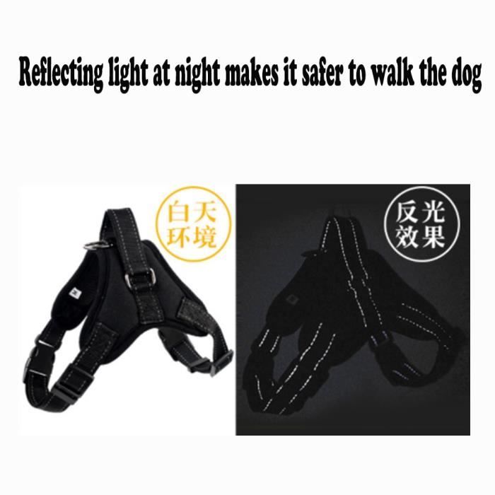 Laisse Pour Chien Élastique Réfléchissante - Ceinture De Sécurité Réglable, Haute Résistance, Pour Randonnée, Voyage, Extérieur (Orange)