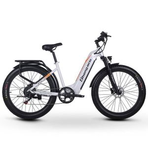 Vtt 2025 electrique xl