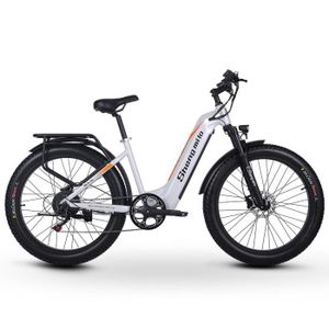 VÉLO ASSISTANCE ÉLEC Vélo électrique 1000W- Shengmilo MX06 - 26