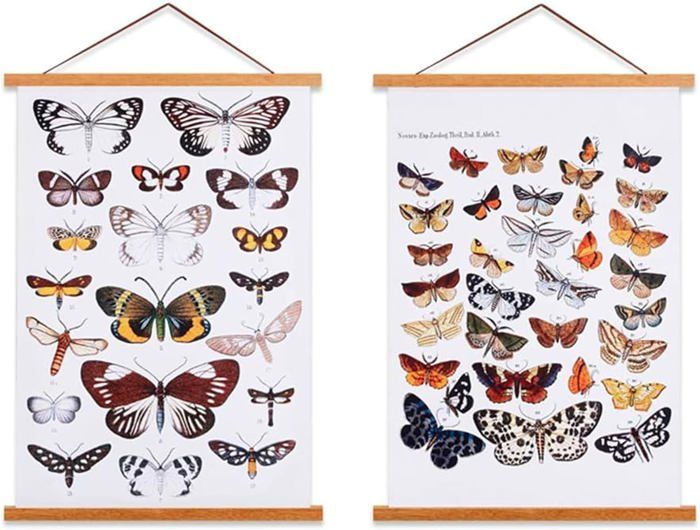 cadre-photo-magn-tique-50-cm-cadre-poster-porte-affiches-50x70-50x100