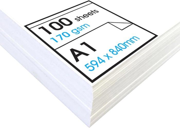 Papier à Dessin Cartouche A2 – 170 G/m², 100 Feuilles – Pour Techniques Sèches (fusain, Pastel, Crayon) – Sans Acide