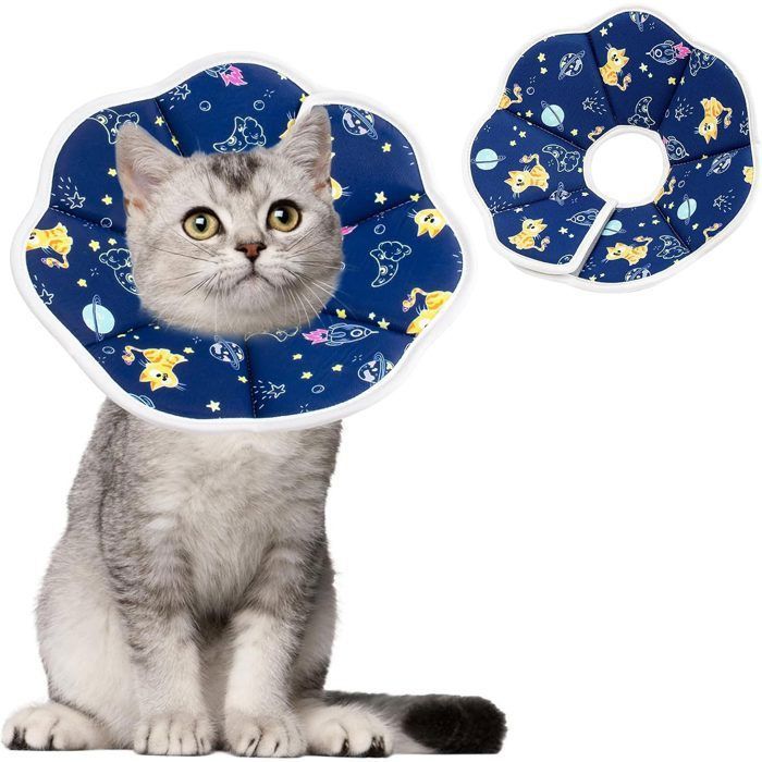 Meilleurs prix pour Collier de Protection Collier pour Chat Collier pour Chat réglable pour Chiots Petits Chiens et Chats M