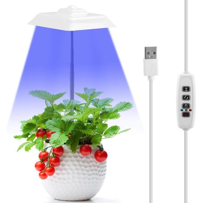 Lampe Pour Plantes Interieur, LED à Spectre Complet 5 V DC, USB Lampe De  Plante, Phytolamp à Intensité Variable Pour Plantes, [600]