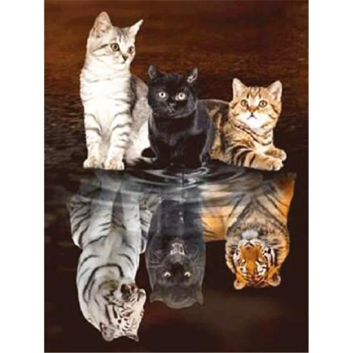 Huacan Diamant Mosaique Chat 5d Diamant Peinture Kit Animal Plein Carre Diamant Broderie Vent Modele Fa4561 60x80cm Hjqza Cdiscount Beaux Arts Et Loisirs Creatifs Huacan Diamant Mosaique Chat 5d Diamant Peinture Kit Animal Plein Carre Diamant Broderie Vent Modele Fa4561 60x80cm Hjqza Cdiscount Beaux Arts Et Loisirs Creatifs