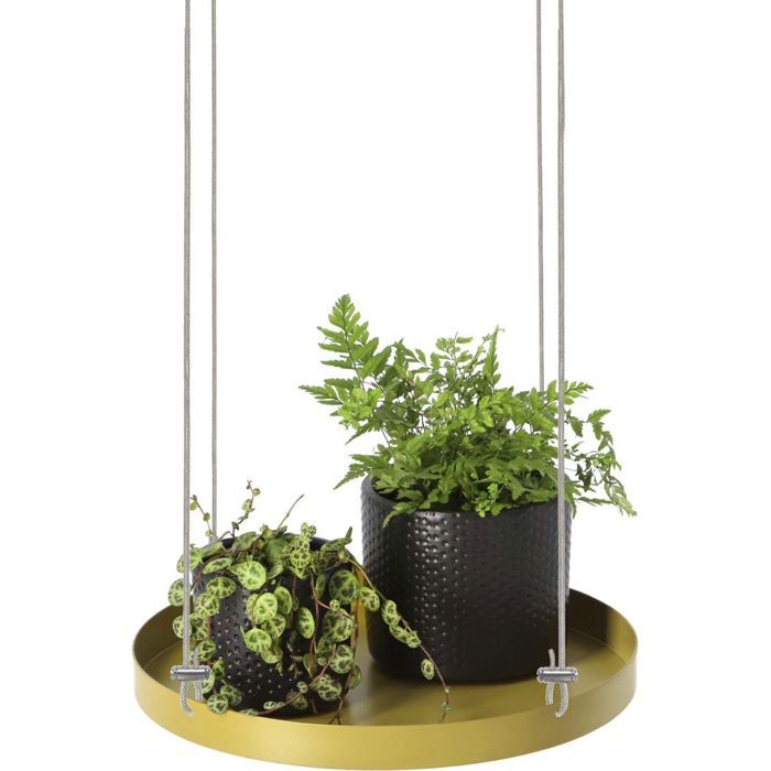 Plateau en acier inoxydable - 36x27x2cm x20pcs