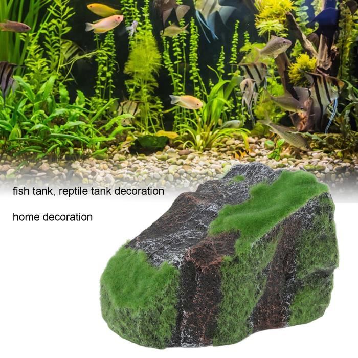 Décoration En Bois De Terrarium, Cachette De Reptile De Souche