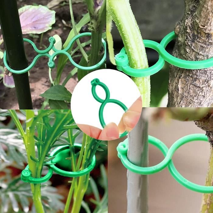 Attache Plante de Jardin Support pour Plantes Clips avec Fermoir,100Pièces  Réutilisables Pinces à Clip Tomate en Plastique(4x2.7cm).