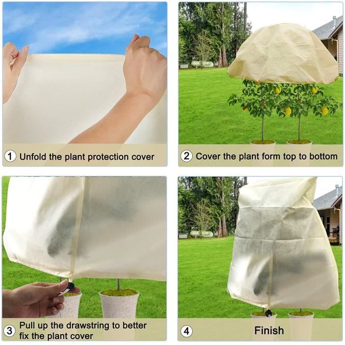 Relaxdays Serre D'hivernage, HLP : 185x180x160 Cm, Protection Hivernale Pour Plantes, Avec Porte