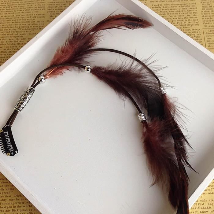 Générique Lot de 6 Pinces à Cheveux en Plume Vintage pour Femmes, Accessoires pour Dreadlocks, Faciles à Mettre, Adaptées aux Festivals et Carnavals, Plumage Colorées Élégantes