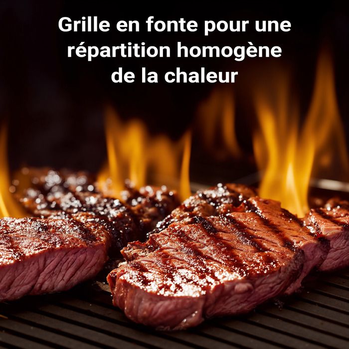 Grille BBQ Carrée 54x34cm Acier Inoxydable Avec Poignée - Barbecue Charbon Gaz