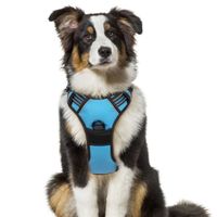 Harnais Chien / Harnais pour petit chien- Bleu taille S -- Anti Traction Réglable Réfléchissant Matériau Respirant