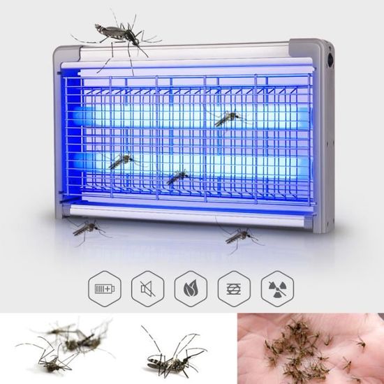 Divers] Panne Destructeur d'insectes à lampes