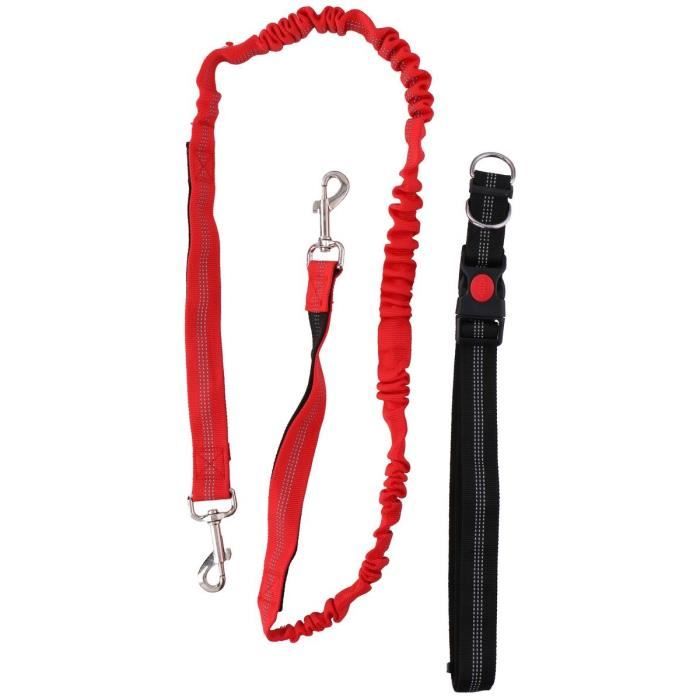 Laisse pour promenade à vélo - 32-50 cm - Pour chien