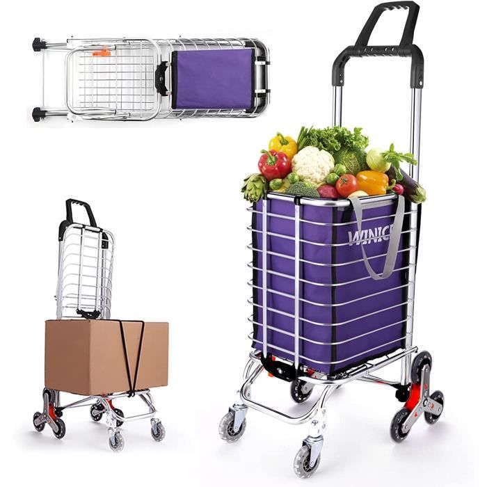 Rainberg Chariot de Courses léger à 2 Roues, 50 litres, résistant et Pliable, Tendance, Chariot Pliable pour Un Rangement Facile (Noir Rainberg Chariot de Courses léger à 2 Roues, 50 litres, résistant et Pliable, Tendance, Chariot Pliable pour Un Rangement Facile (Noir