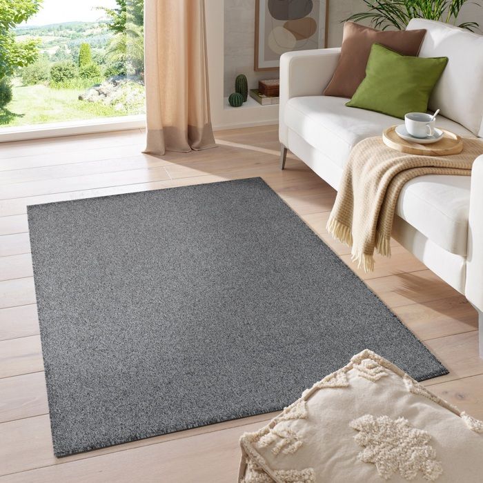 Tapis Moderne A Poils Courts Optique Gabbeh Unicolore Sejour Ver Couleurs Tailles Gris 200x290 Cm Achat Vente Tapis Cdiscount