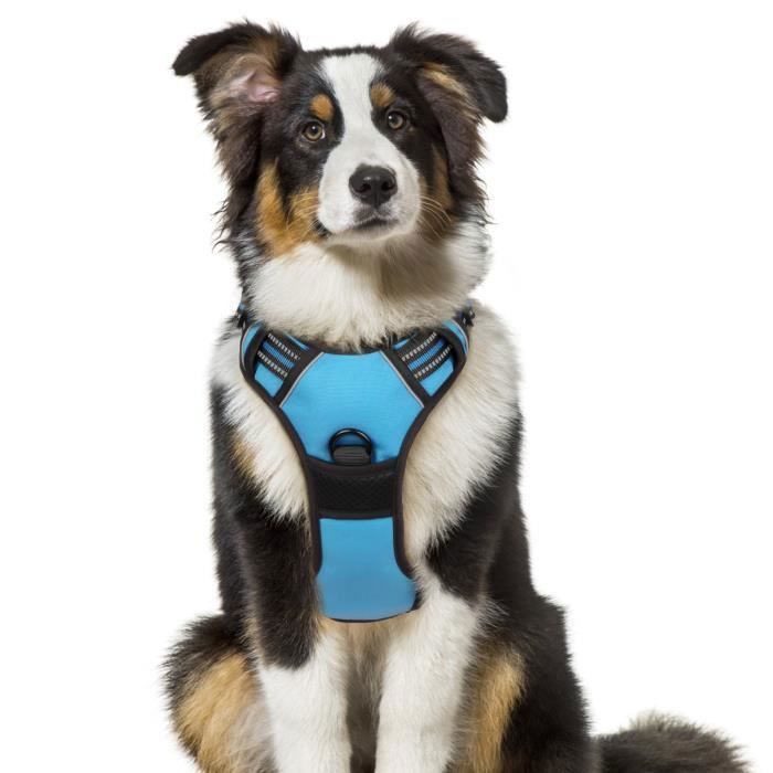 Harnais Chien / Harnais pour petit chien- Bleu taille S -- Anti Traction  Réglable Réfléchissant Matériau Respirant - Cdiscount