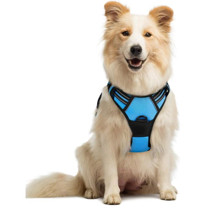 Harnais en maille réglable pour chiens, BLEU MARIN S/M main image 1