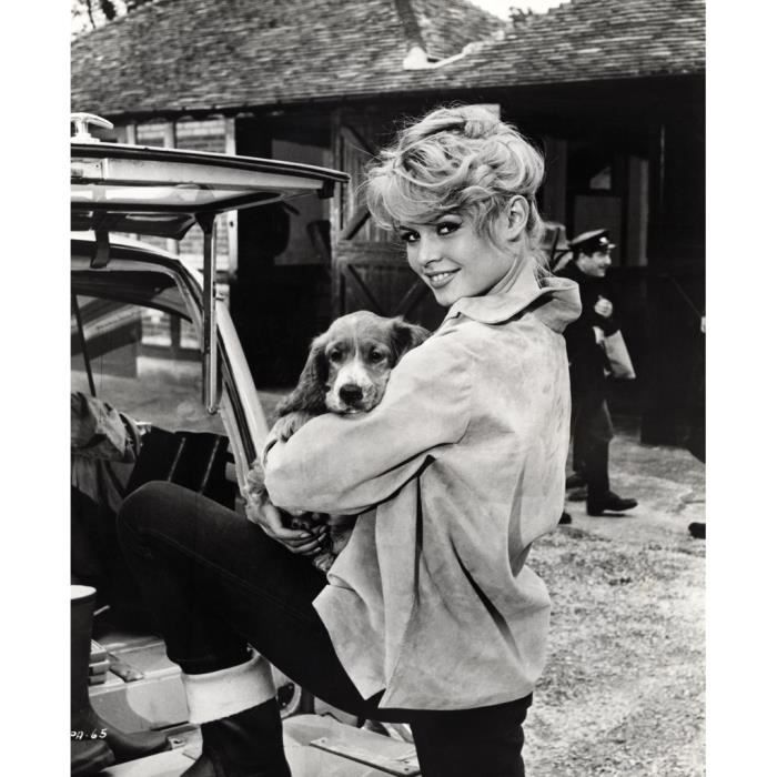 Photo Brigitte Bardot actrice française format 15x21 cm b2