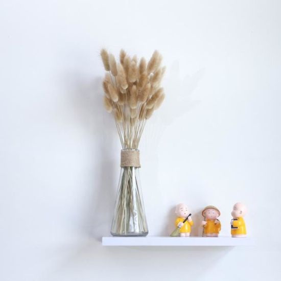 Queue de Lapin Fleur Séchée de 20 Tiges Plantes Naturelles Bouquet D/'Herbes 7T
