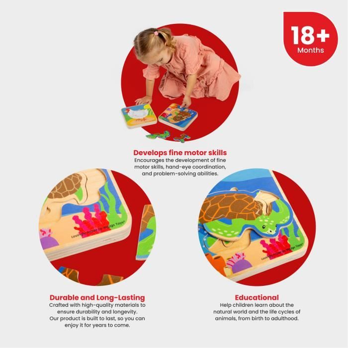 Jeu de société Hungry - MINIFINKER - Tortue affamée - Jeu éducatif Jeu de société Hungry - MINIFINKER - Tortue affamée - Jeu éducatif