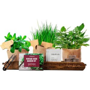 GRAINE - SEMENCE Kit Prêt à Pousser - Potager d'Intérieur d’Herbes Aromatiques (Ciboulette, Origan, Sauge & Menthe) - Graines Biologiques pro.[D1160]