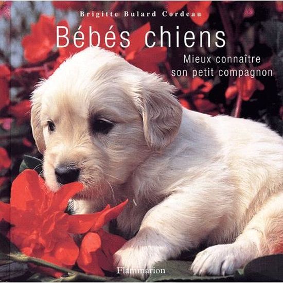 Bebes Chiens Mieux Connaitre Son Petit Compagnon Cdiscount Librairie