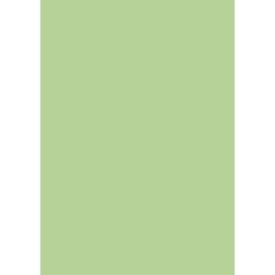 Rouleau Papier Crépon 180g Menthe Douce - 50x250 Cm - Qualité Italienne FloristryWarehouse - Idéal Fleurs & Artisanat