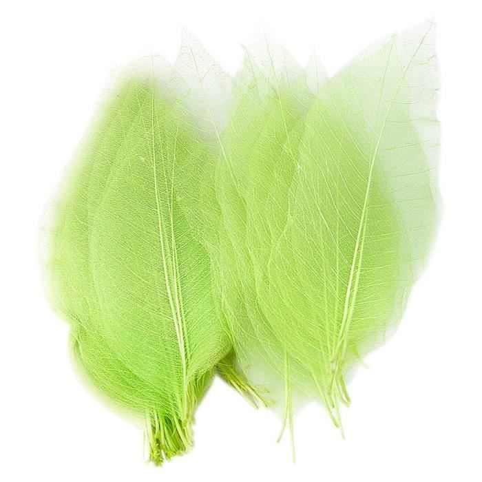 50 pcs Squelette Feuille Feuilles Scrapbooking – Vert