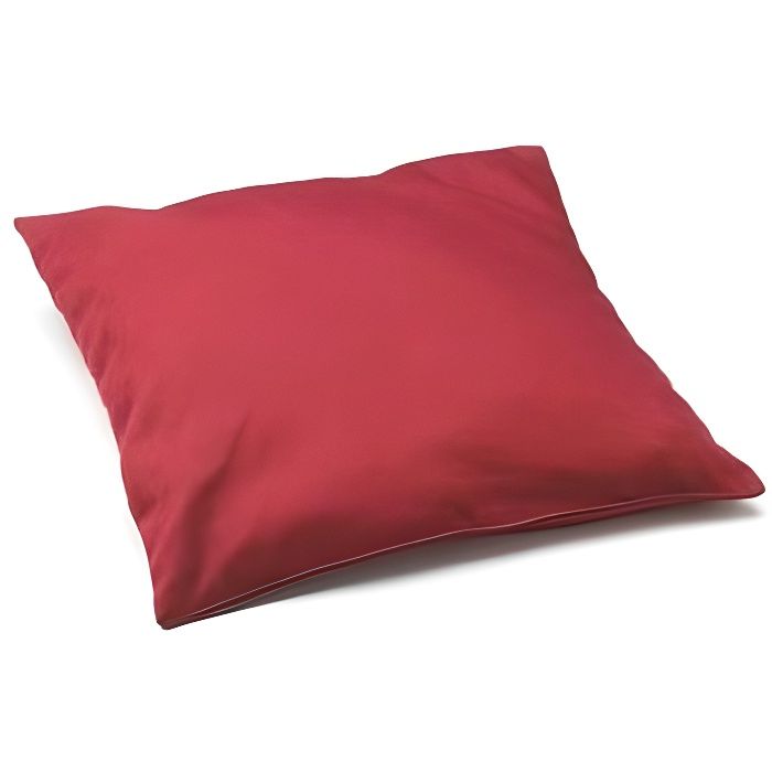 BOUILLOTTE COUSSIN NOYAUX DE CERISES Diffuseur de chaleur naturel 24 x 26 cm-1106
