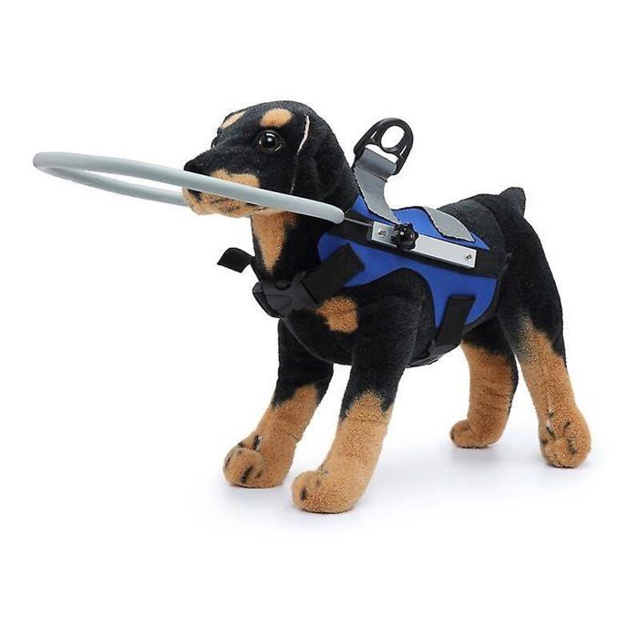 Harnais pour chien aveugle Gilet de protection pour chiens Prévenir les collisions Anneau Label