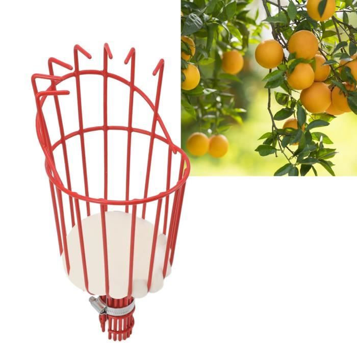 Ramasse-Noix Télescopique – Collecteur De Fruits Au Sol Pour Pommes, Glands, Noisettes… Sans Se Baisser