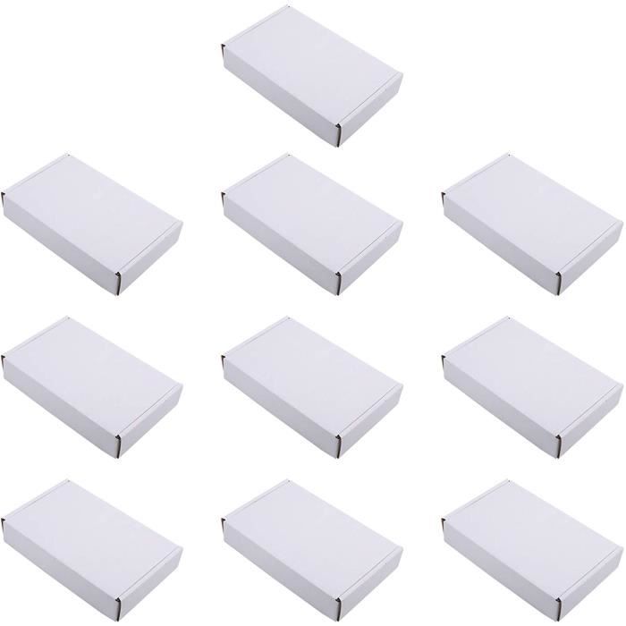 Cabilock 10 Pièces Boîte à Pizza Récipient à Pâte à Pizza Conteneur De