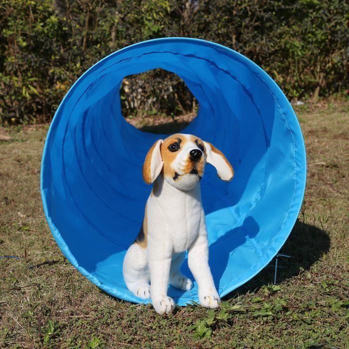Trainer Jouet Interactif Exterieur D Interieur Chiot Tunnel Jeu Chat Chien Compagnie Pliable Portatif Cdiscount Animalerie Trainer Jouet Interactif Exterieur D Interieur Chiot Tunnel Jeu Chat Chien Compagnie Pliable Portatif Cdiscount Animalerie